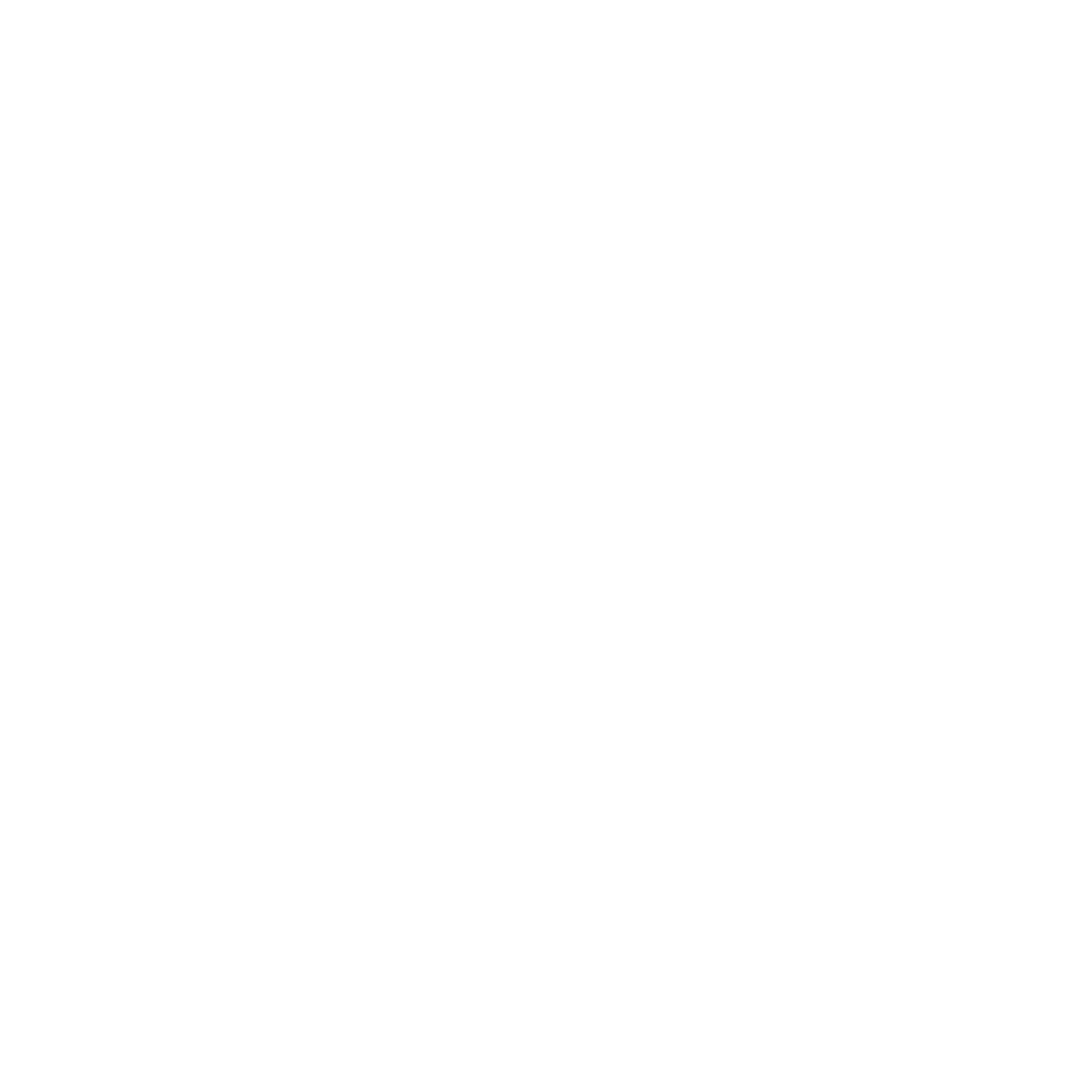Expert Guidance & Support target icon